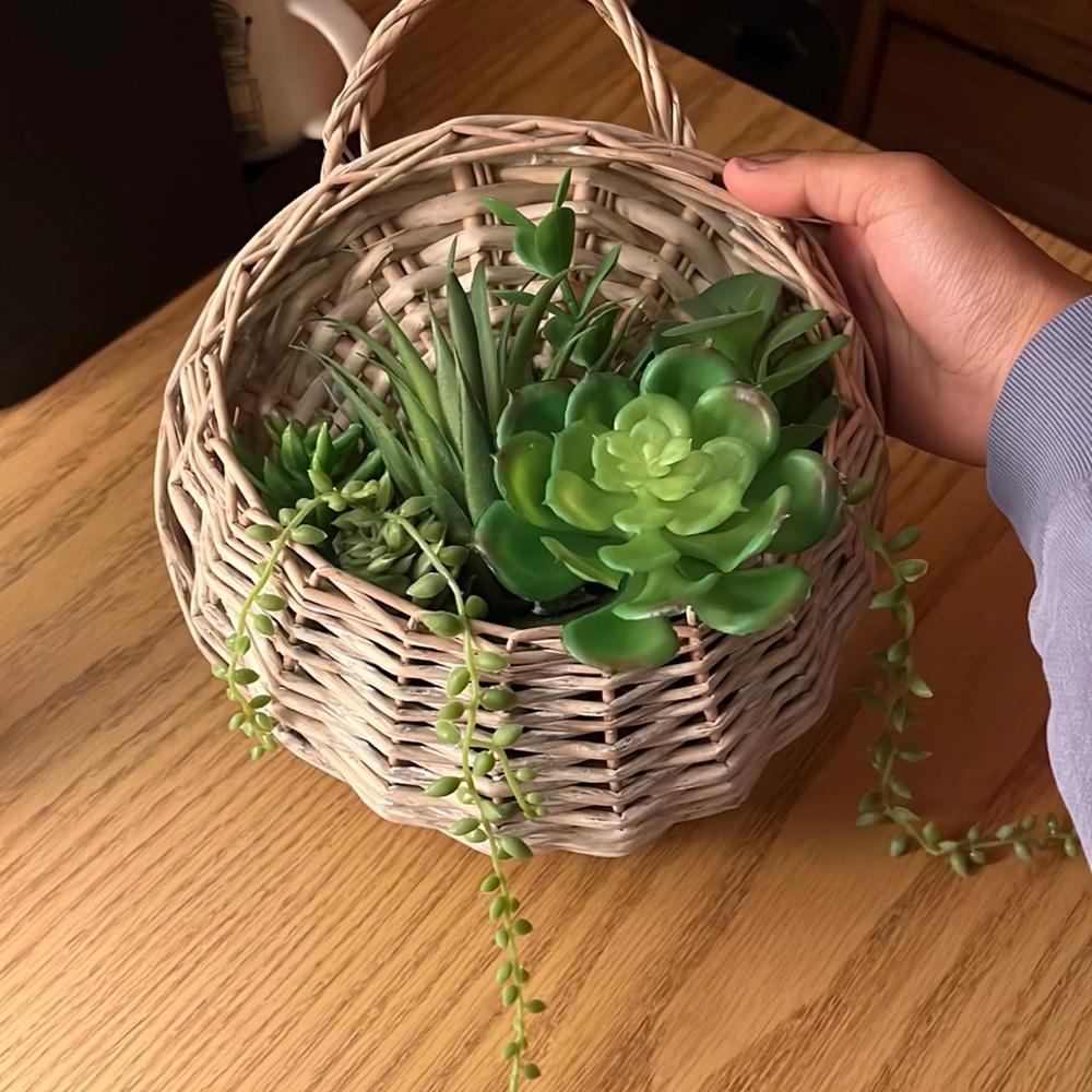 Wall Plant
